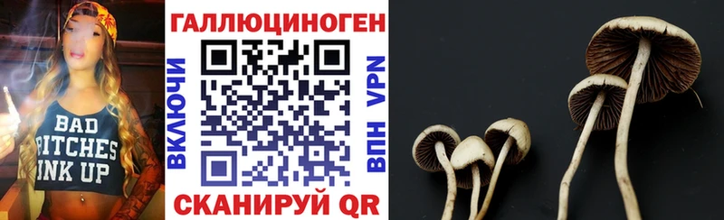 Купить закладки  Юрюзань  Псилоцибиновые грибы ЛСД 